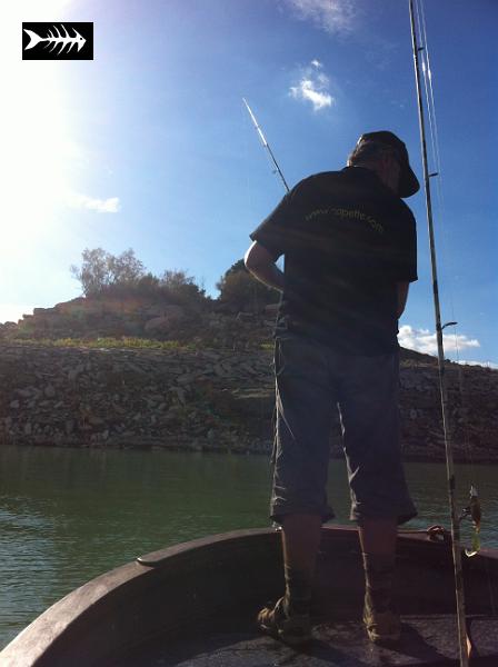 2012-11-08 001 2012-10-22 004.jpg